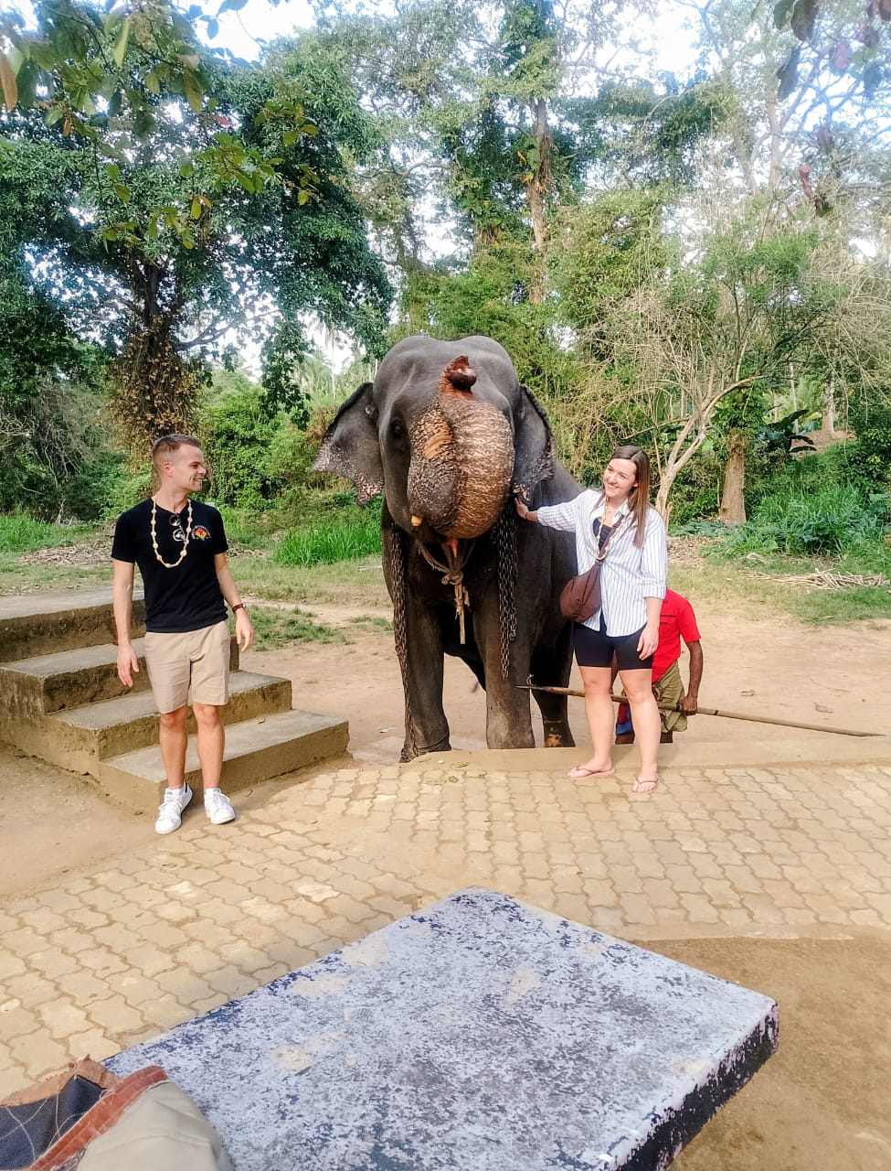 Guests meeting a friendly elephant
