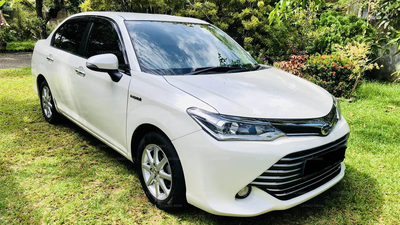 Toyota Axio (Sedan)
